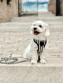 Striped Black & White Harnas - Barcelona Dogs