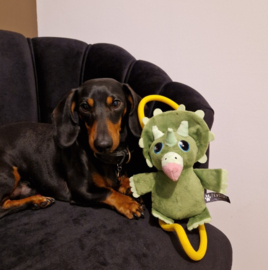 Pawstory Buddy's Timmie Triceratops