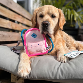 Snuffles Billy Backpack 3-in-1