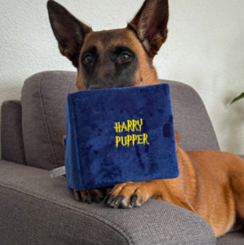Paw Story Magic Snuffelbook