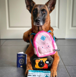 Snuffles Billy Backpack 3-in-1