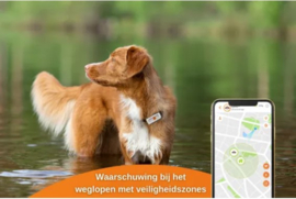 Weenect GPS tracker