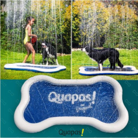 Quapas dog splash