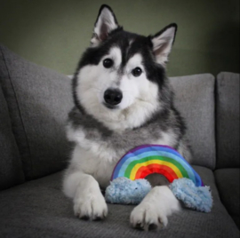 Paw Story Rainbow Ray
