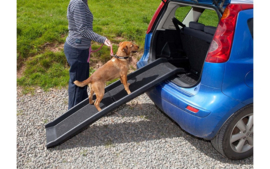 Honden Loopplank kunststof 157 x 40 x 17 cm - Zwart > 90 Kilo