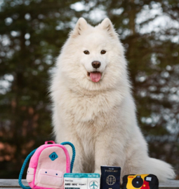 Snuffles Billy Backpack 3-in-1