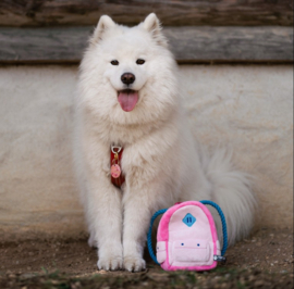 Snuffles Billy Backpack 3-in-1