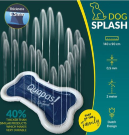 Quapas dog splash