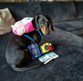 Snuffles Billy Backpack 3-in-1