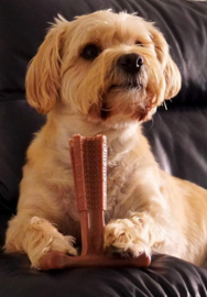 Bamboodles