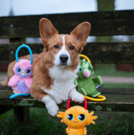 Pawstory Buddy's Timmie Triceratops