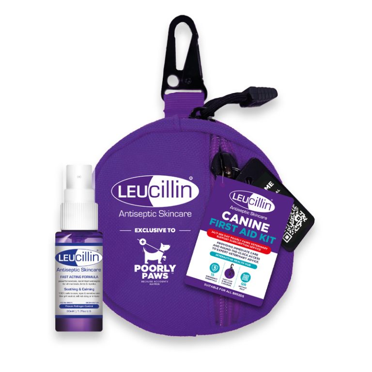 Leucillin First Aid-Kit