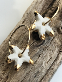 Starfish -gold filled oorringen