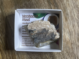 Versteend hout in doosje