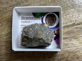 Stromatoliet in doosje