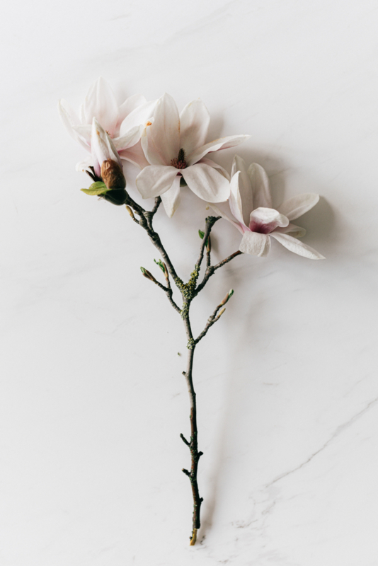 Wax Melt met geurparfum "Magnolia"