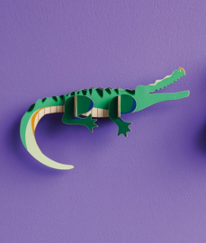 Crocodile - Studio ROOF