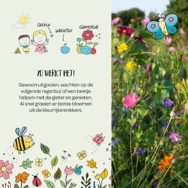 Bloemenknikkers in een doosje