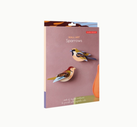 Sparrows - Studio ROOF