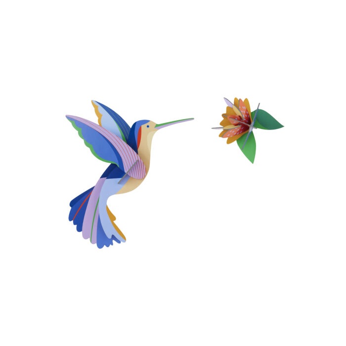Hummingbird - Studio Roof