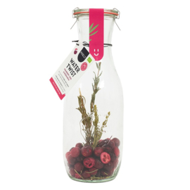 Tafelwater met smaak in karaf DIY Cranberry Kers Rozemarijn BIO - Pineut