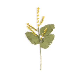 Mimosa tak van vilt - Sjaal met Verhaal
