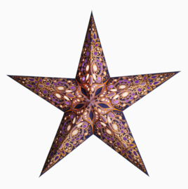 Kerstster Taj - Starlightz