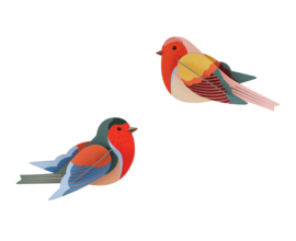 Robins - Studio ROOF