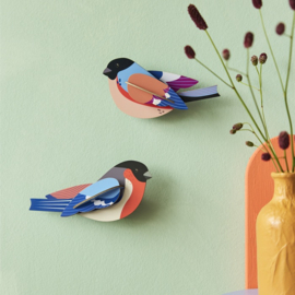 Finches | Vinken - Studio Roof