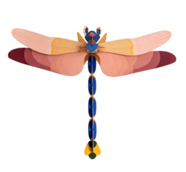Pink Dragonfly - Studio ROOF