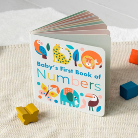 Baby's eerste boek met nummers | Rex London