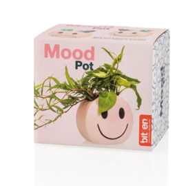 Bloempotje Smiley roze - Bitten