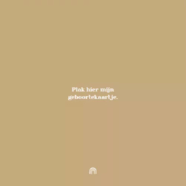 Invulboek Baby's eerste jaar