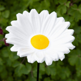 Tuinsteker Margriet