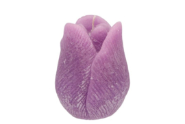 Kaars Tulp lila 9x11 cm