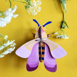 Pink bee - Studio Roof