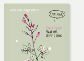 Huwelijksgeluk zaaien Bloemzaden cadeau - Veer & Moon