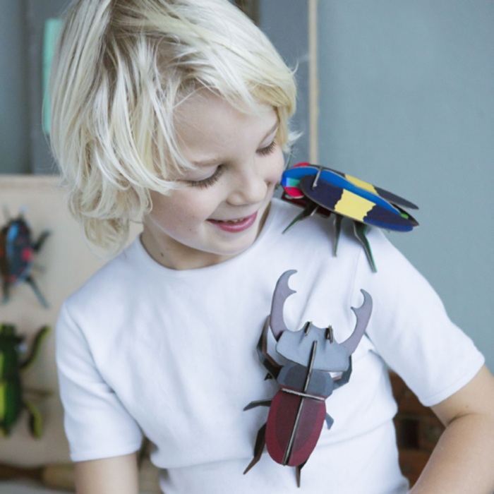 Stag Beetle - Studio Roof