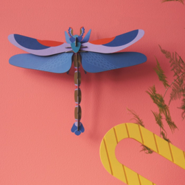 Blue dragonfly - Studio Roof