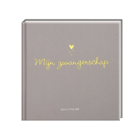 Invulboek Mijn zwangerschap