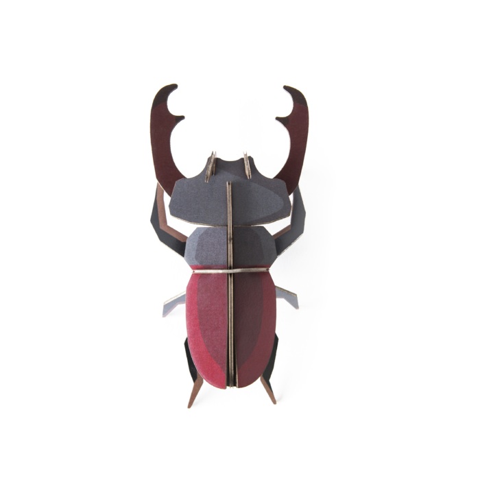Stag Beetle - Studio Roof