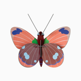 Delias Butterfly 3D wanddecoratie - Studio Roof