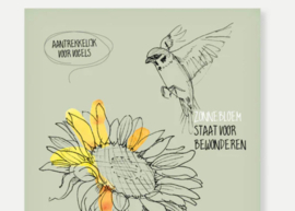 Bewondering zaaien Bloemzaden cadeau - Veer&Moon