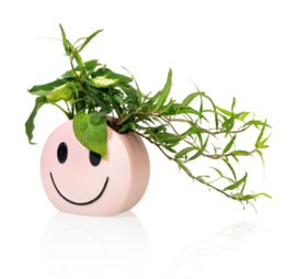 Bloempotje Smiley roze - Bitten