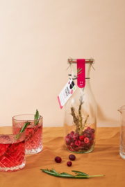 Tafelwater met smaak in karaf DIY Cranberry Kers Rozemarijn BIO - Pineut