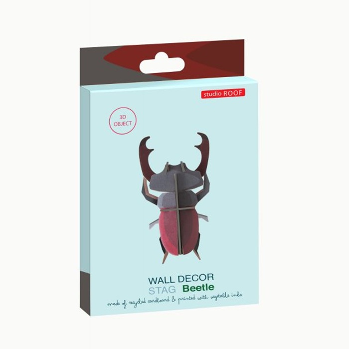 Stag Beetle - Studio Roof