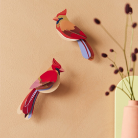 Cardinals | Kardinalen - Studio Roof