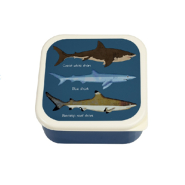 Snackbox Sharks Maat S | Rex London