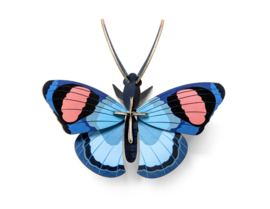 Peacock Butterfly - Studio ROOF