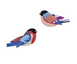 Finches - Studio ROOF